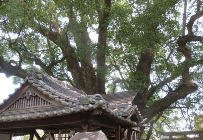 藤白神社