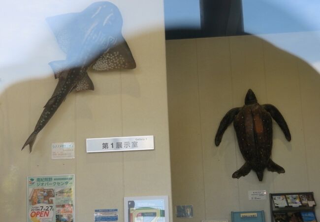 和歌山県立自然博物館