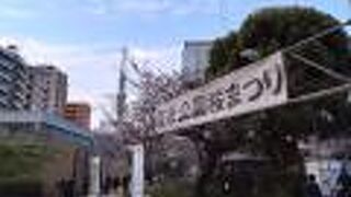 お花見スポット