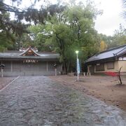 和歌山城内にあります