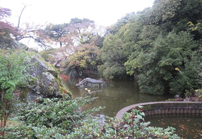 池の風景が見事です