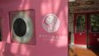 可愛い観光列車です