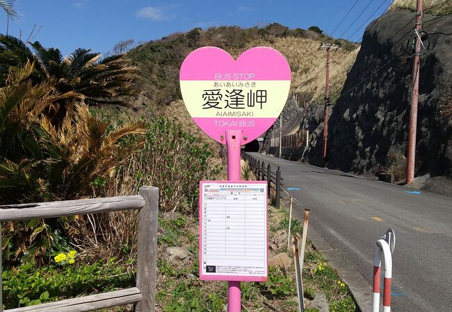 奥石廊崎(あいあい岬)