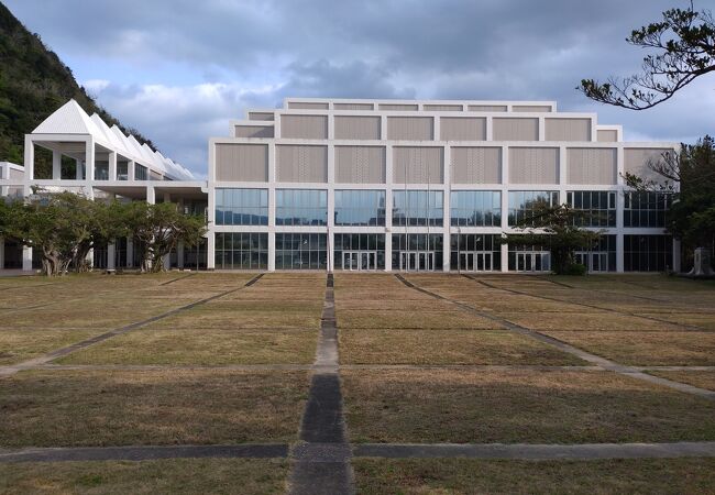 奄美文化センター クチコミ・アクセス・営業時間｜奄美大島