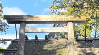 １年の感謝を申し上げます