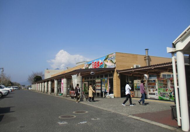 桜島一望の　道の駅たるみず