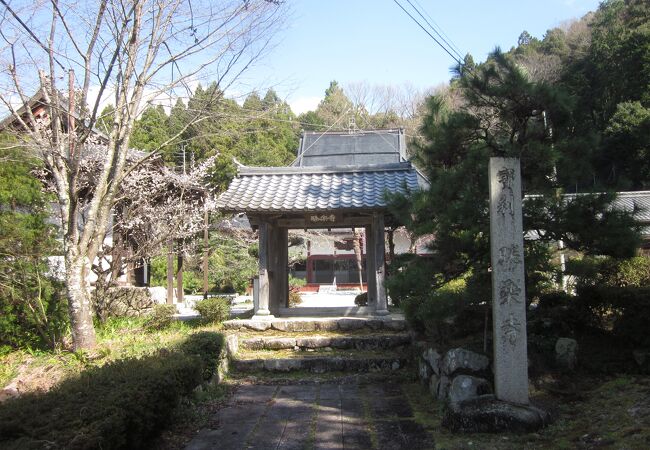 見所あるお寺