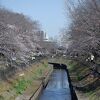 善福寺川緑地