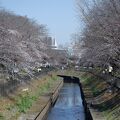 善福寺川緑地