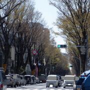 駅に近いながらも緑溢れていた感じの通りでした。