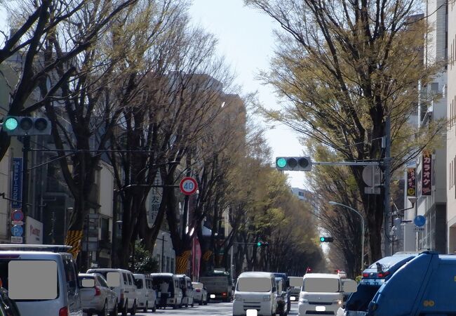 駅に近いながらも緑溢れていた感じの通りでした。