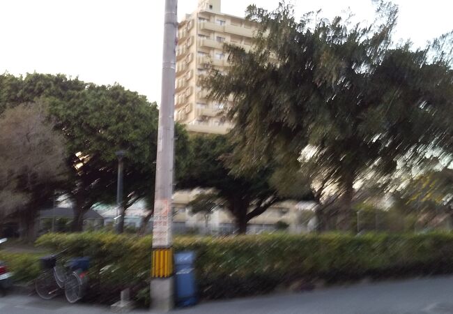 とてもきれいに整備された公園きます。