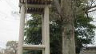 あっ！　ビニールに包まれた蛇が新しい！