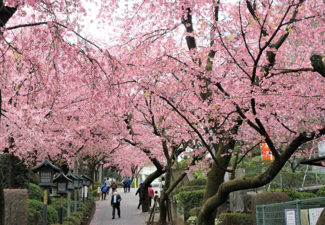 密蔵院