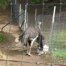 動植物森林公園