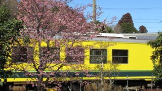 沿線を楽しみましょうね