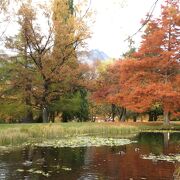 普通の公園