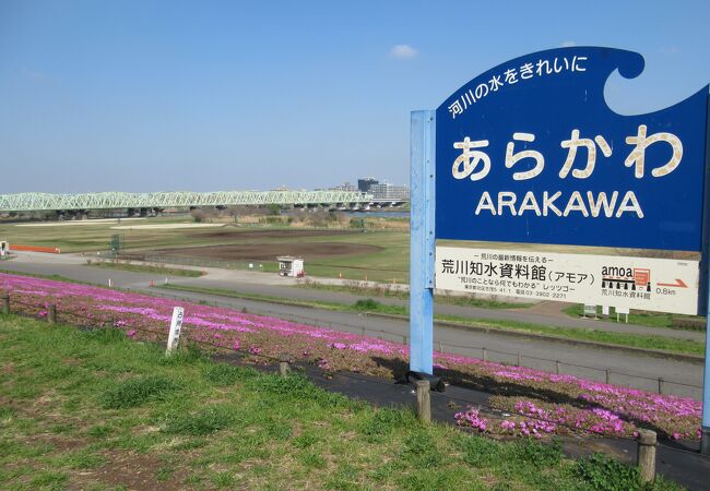 野球やサッカーのグランドが整備されています