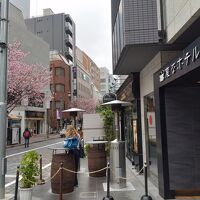 ホテルの前にさくら