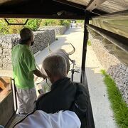 のんびりと島時間