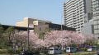 桜の名所としても知られています