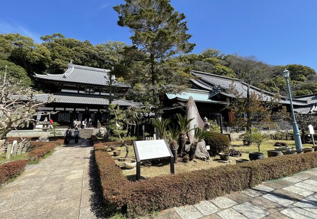徳川家康所縁の寺院