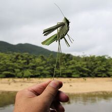 船頭さん自作のバッタ