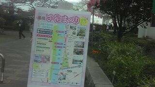 今が盛りです。