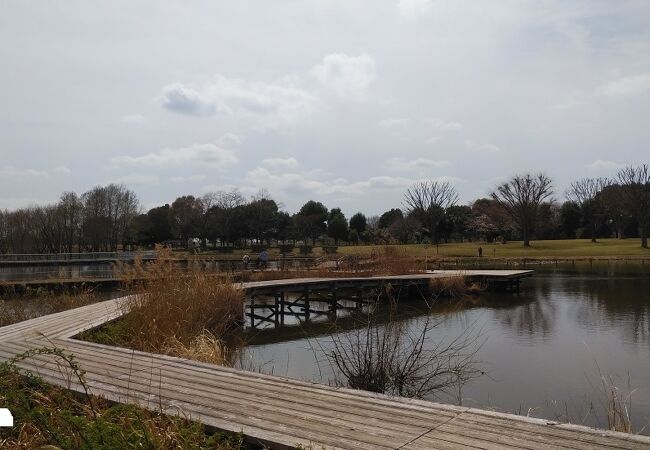 よく整備された水辺のある広大な公園