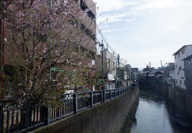 住宅街を流れる川でしたが、綺麗な川でもありました。