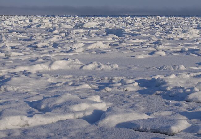 流氷の溜まり場