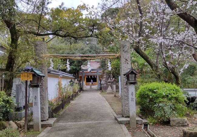 大市八幡神社