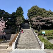 街の中心の神社