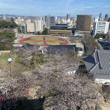 天守閣からの眺め