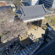 天守閣からの眺め