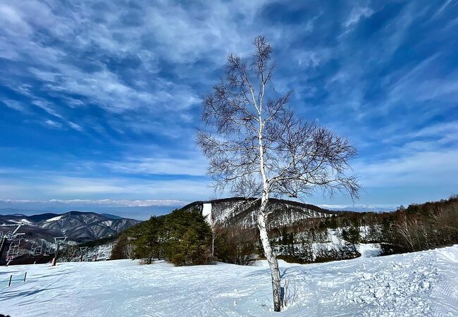 峰の原高原展望台