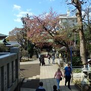 健康祈願の神社