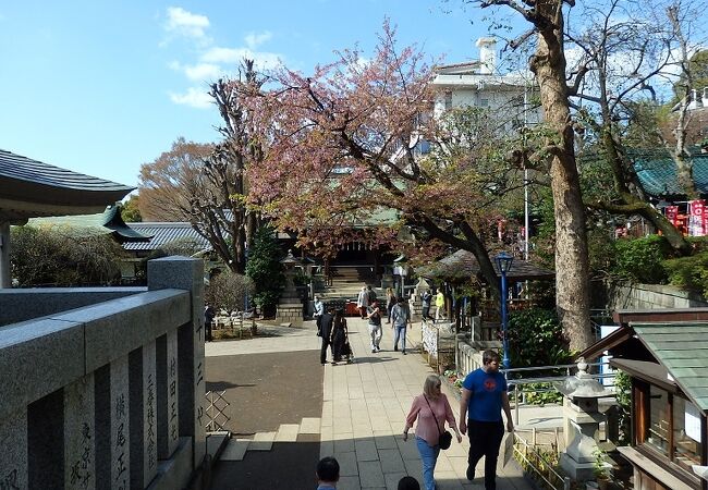 健康祈願の神社