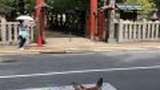 氷の神様を祀る！