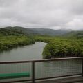 西表島の東側を流れる長さ約12kmの川です。流域のマングローブ林は日本のアマゾンと呼ばれています。