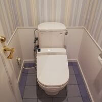 昔風の流れのトイレです、流す音が静か