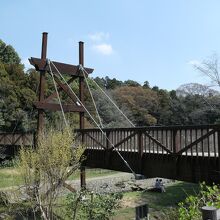 緑のかけ橋