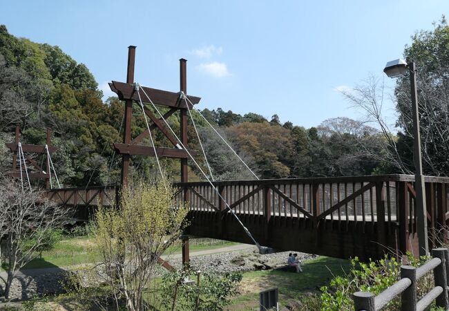 木造斜張橋