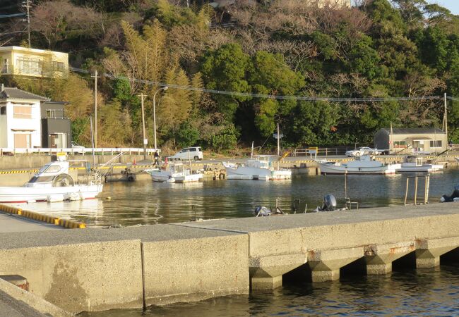 関崎半島