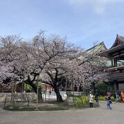 見どころが多い寺院