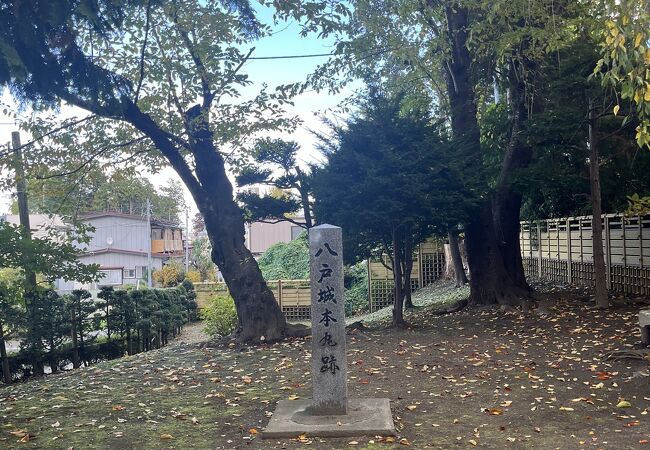 南部氏の居城跡