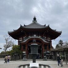 雨が降りそうだったので暗い写真ですがもっと赤くてきれいです。