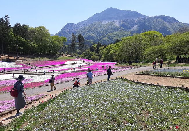 武甲山