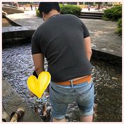 夏は水遊びが楽しい