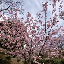 中山観音公園